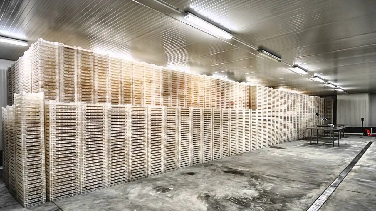 Extreme environment forklift operating in harsh conditions with dust and extreme temperatures